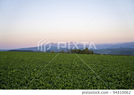 Daisetsuzan mountain range Asahidake at dusk seen from Shujitsu-no-Oka, Asahikawa, Hokkaido 94810062