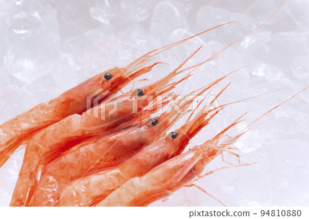 Sweet shrimp on ice. Also known as Hokoku red shrimp Sweet shrimp on ice. Also known as Hokoku red shrimp 94810880