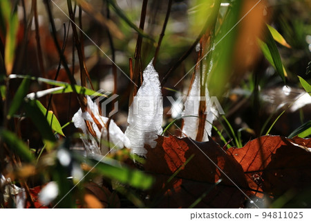 Shimobashira Frost Flower 94811025