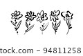 Set of hand drawn vector flowers stems. 94811258
