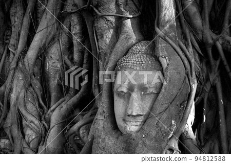 Thailand, Ayutthaya. Old tree Buddha stone sculpture. Wisdom and pray Thailand, Ayutthaya. Old tree Buddha stone sculpture. Wisdom and pray 94812588