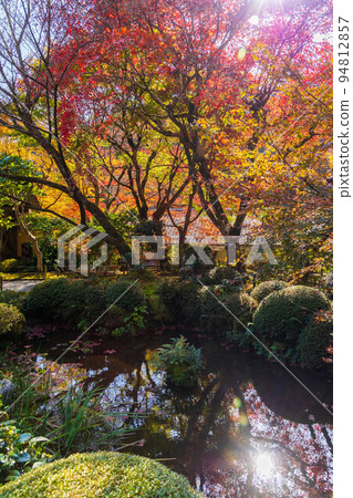 Autumn in Ohara, Kyoto Jakko-in Temple with autumn leaves Teinoike 94812857