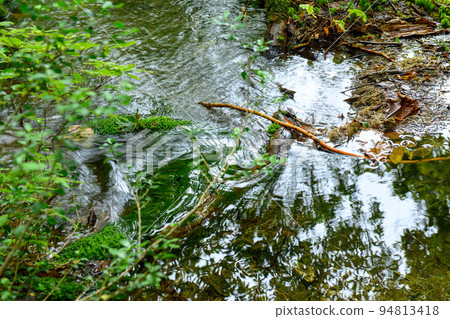 Clear Stream and Chokai Marimo Shishigahana Wetlands, Akita Prefecture 94813418