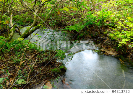 Clear Stream and Chokai Marimo Shishigahana Wetlands, Akita Prefecture Clear Stream and Chokai Marimo Shishigahana Wetlands, Akita Prefecture 94813723
