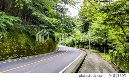 在森林裡跑 94813805