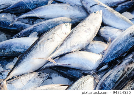 Bundle of tuna sea fish sell in fresh market 94814520