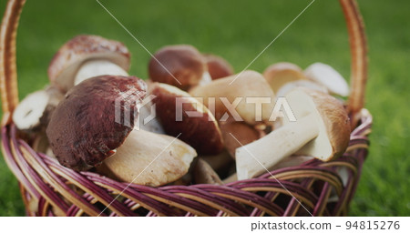 Wild mushrooms are in a wicker basket - an ingredient for gourmet dishes Wild mushrooms are in a wicker basket - an ingredient for gourmet dishes 94815276