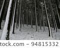 snowy winter grove 94815332