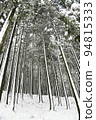 snowy winter grove 94815333