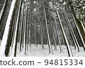 snowy winter grove 94815334