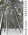 snowy winter grove 94815335