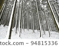 snowy winter grove 94815336
