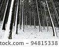 snowy winter grove 94815338