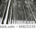 snowy winter grove 94815339