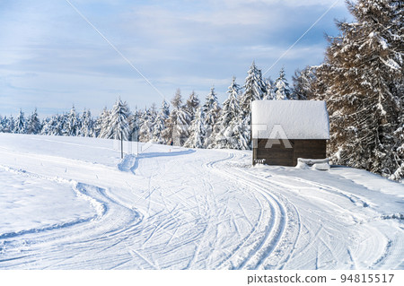Cross country skiing track on sunny day 94815517