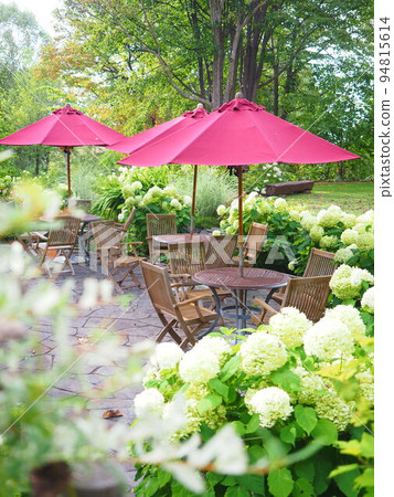 Hokkaido landscape White birch and terrace seats in Daisetsu Mori no Garden Hokkaido landscape White birch and terrace seats in Daisetsu Mori no Garden 94815614