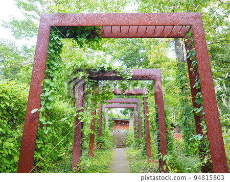 Scenery of Hokkaido Taisetsu Morino Garden English Garden Scenery of Hokkaido Taisetsu Morino Garden English Garden 94815803