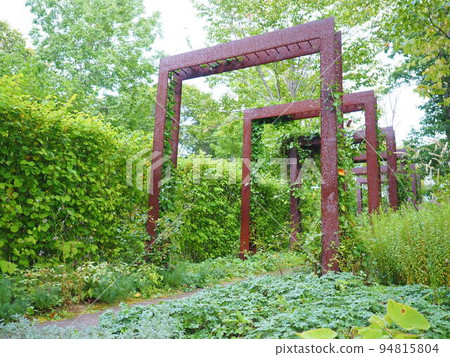 Scenery of Hokkaido Taisetsu Morino Garden English Garden Scenery of Hokkaido Taisetsu Morino Garden English Garden 94815804