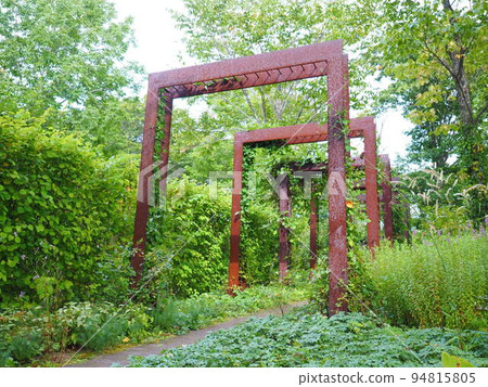 北海道風景 大雪森野庭園 英式庭園 北海道風景 大雪森野庭園 英式庭園 94815805