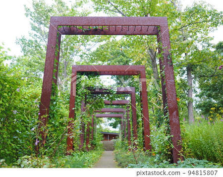 Scenery of Hokkaido Taisetsu Morino Garden English Garden 94815807