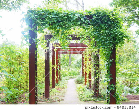 Scenery of Hokkaido Taisetsu Morino Garden English Garden Scenery of Hokkaido Taisetsu Morino Garden English Garden 94815814