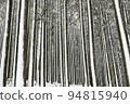 Snowy grove, Izu Amagi mountain, snowy scenery 94815940