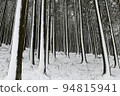 Snowy grove, Izu Amagi mountain, snowy scenery 94815941