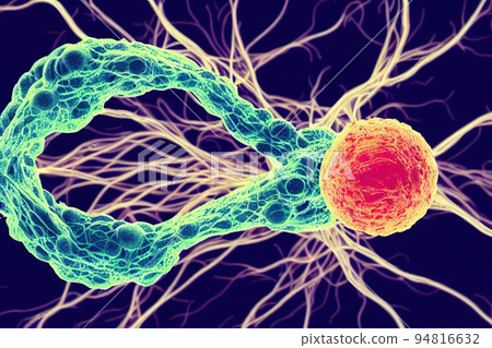 Abnormal cancer cell inside human body. T-cell involved in cell-mediated immunity process. Chemotherapy and radiation to kill carcinogen and tumor treatment. Digital art 94816632