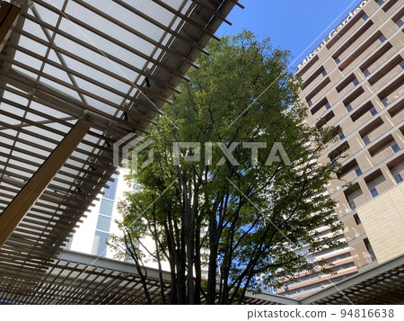 城市設計與自然共存柏之葉 94816638