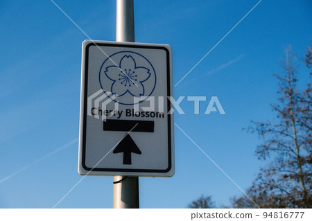 指示櫻花位置的標誌 94816777