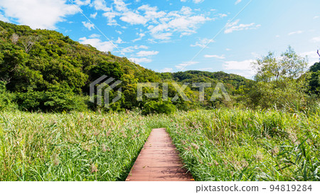 Koajiro no Mori 94819284