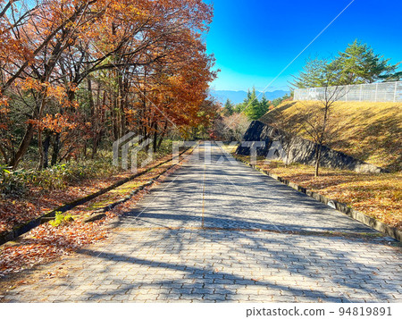 Autumn walk way Autumn walk way 94819891
