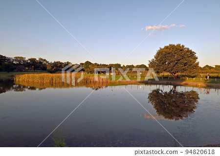 武藏野森林公園 94820618