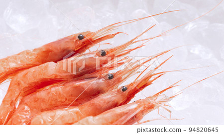 Sweet shrimp on ice. Also known as Hokoku red shrimp 94820645
