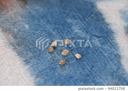 Cannabis seeds on cloth. 94821708