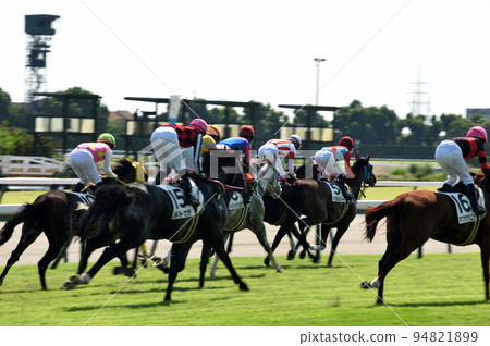Chukyo Racecourse in sunny weather 94821899