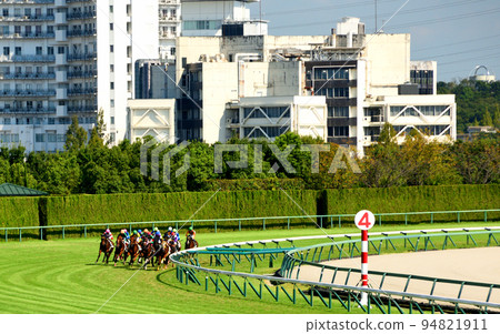 陽光明媚的中京賽馬場 陽光明媚的中京賽馬場 94821911