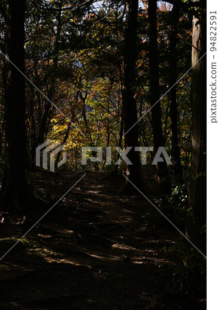 有馬富士的秋葉 94822591