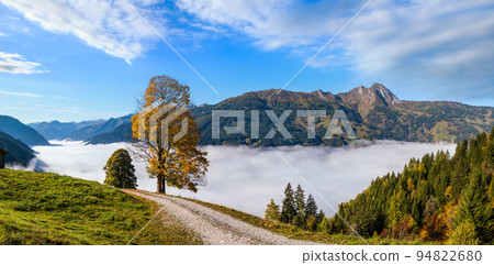 Misty autumn morning mountain and big lonely trees view from hiking path near Dorfgastein, Land Salzburg, Austria. Misty autumn morning mountain and big lonely trees view from hiking path near Dorfgastein, Land Salzburg, Austria. 94822680