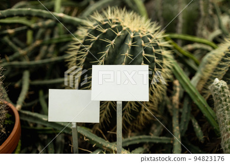 Empty mockup template Blackboard label at farm land. Copy space banner for your text. Empty plant label in herbs pot. Fresh eco nature plant growing in the herb garden.  94823176
