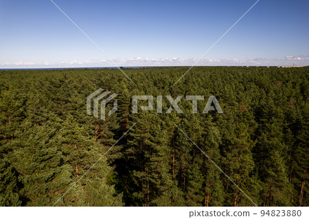 Drone photo of forests and groves in golden time 94823880