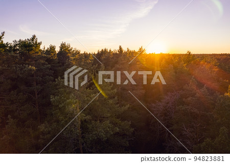 Drone photo of forests and groves in golden time 94823881