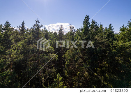 Drone photo of forests and groves in golden time 94823890