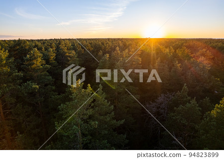 Drone photo of forests and groves in golden time 94823899