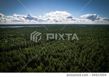 Drone photo of forests and groves in golden time 94823904