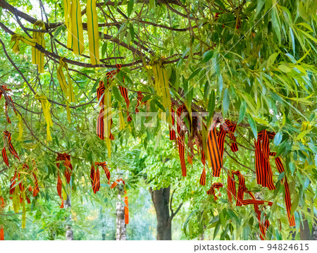 Wish tree with commemorative war ribbons 94824615
