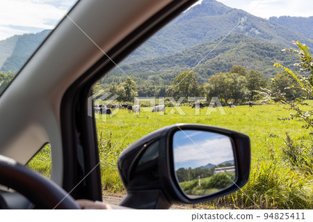 從一輛汽車穿過北海道草地的景色 94825411