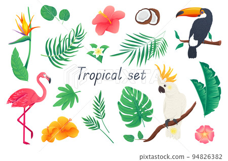 Tropical 3d realistic set. Bundle of colorful flowers and palms or monstera leaves, hibiscus, coconut, toucan, cockatoo parrot, flamingo and other exotic jungle isolated elements.Vector illustration Tropical 3d realistic set. Bundle of colorful flowers and palms or monstera leaves, hibiscus, coconut, toucan, cockatoo parrot, flamingo and other exotic jungle isolated elements.Vector illustration 94826382