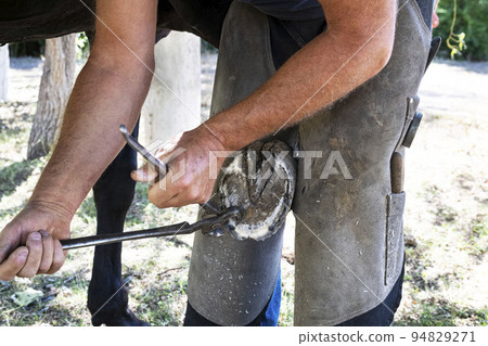 Farrier works in a field Farrier works in a field 94829271