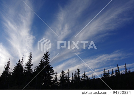 Autumn sky with refreshing feathery clouds and coniferous forest silhouette landscape 94830824